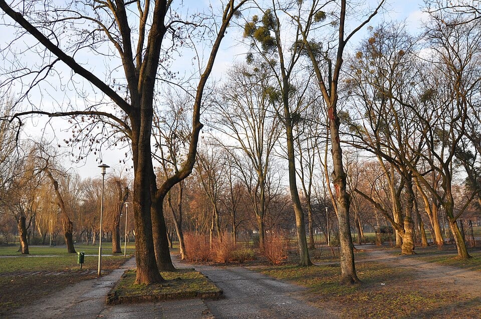 Stadtwäldchen (Városliget), Budapest